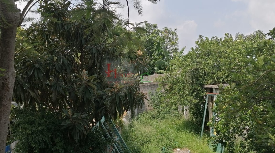 VENTA DE TERRENO CON SERVICIOS EN CUAUTLA,VENDO TERRENO CON SERVICIOS EN CUAUTLA,TERRENO EN VENTA CON SERVICOS EN CUAUTLA,